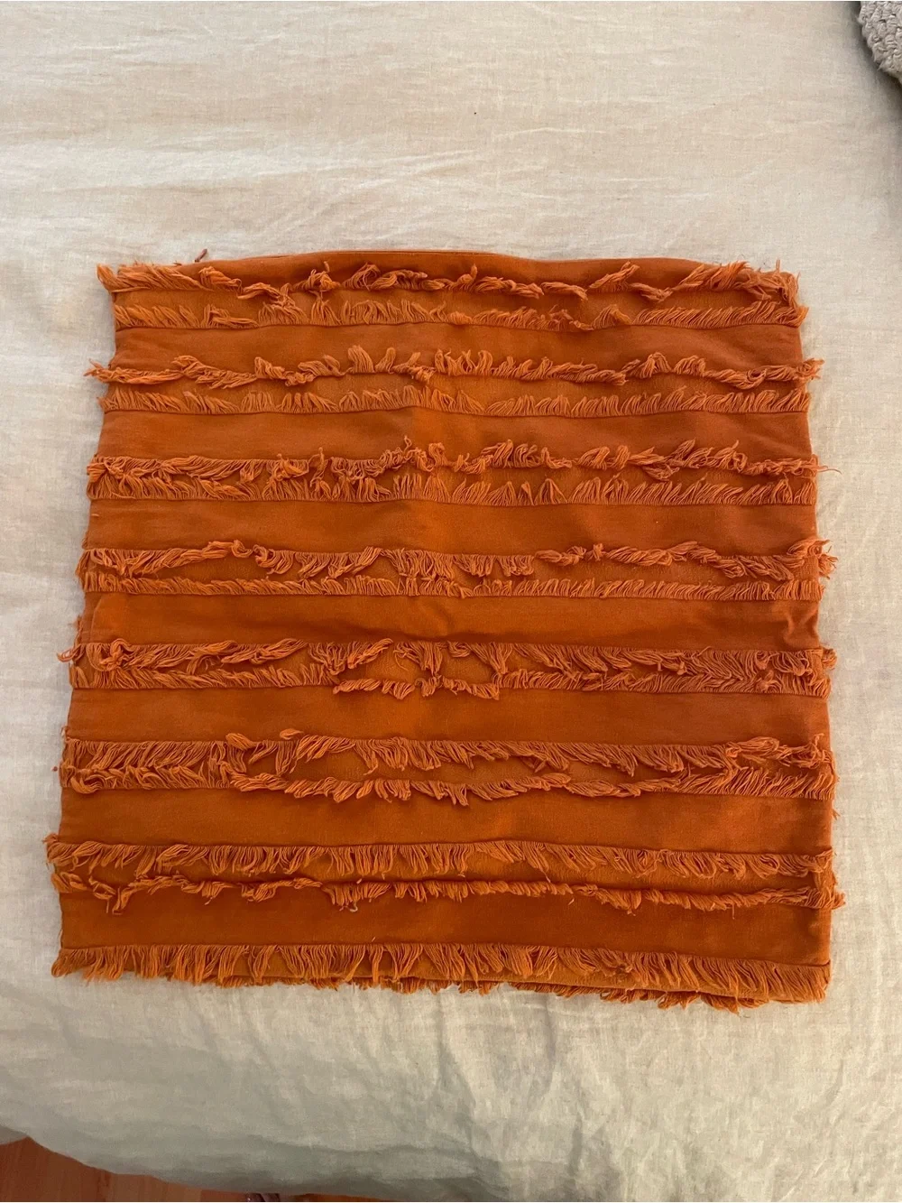 Fringed Textured Throw Pillow Pair - Burnt Orange